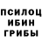 Псилоцибиновые грибы GOLDEN TEACHER Nikki standanova