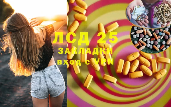 прущие грибы Бронницы