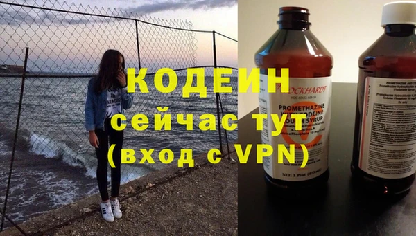прущие грибы Бронницы