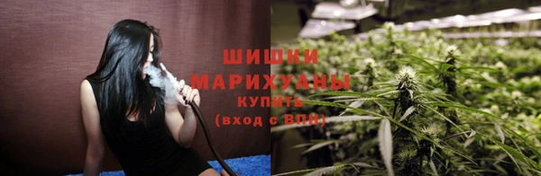 прущие грибы Бронницы
