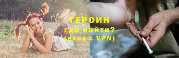 прущие грибы Бронницы