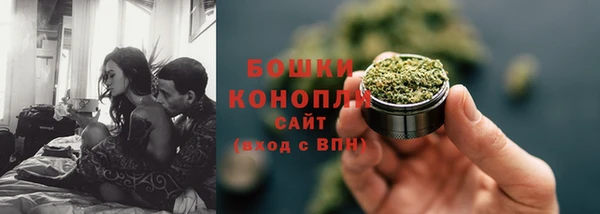 прущие грибы Бронницы