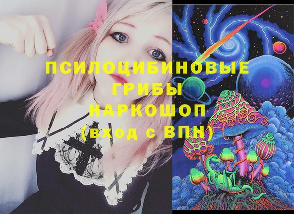 прущие грибы Бронницы