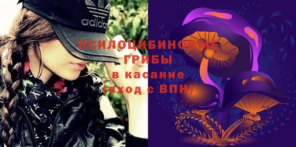 прущие грибы Бронницы