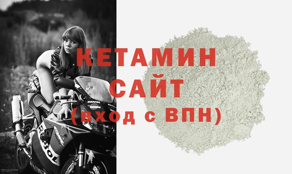 прущие грибы Бронницы