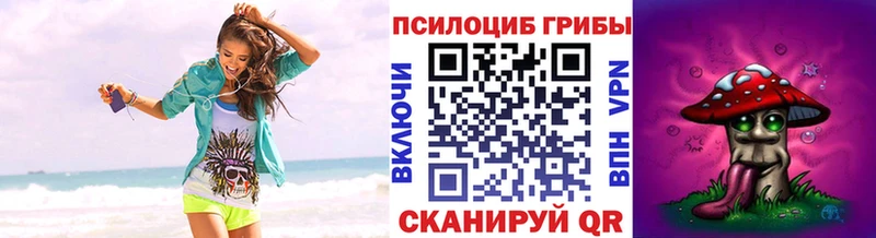Псилоцибиновые грибы MAGIC MUSHROOMS  Купить  Тутаев 