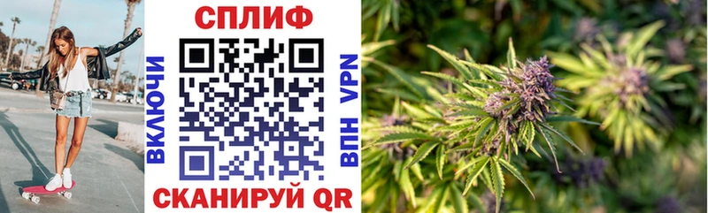 Купить где  Тутаев  Каннабис семена 